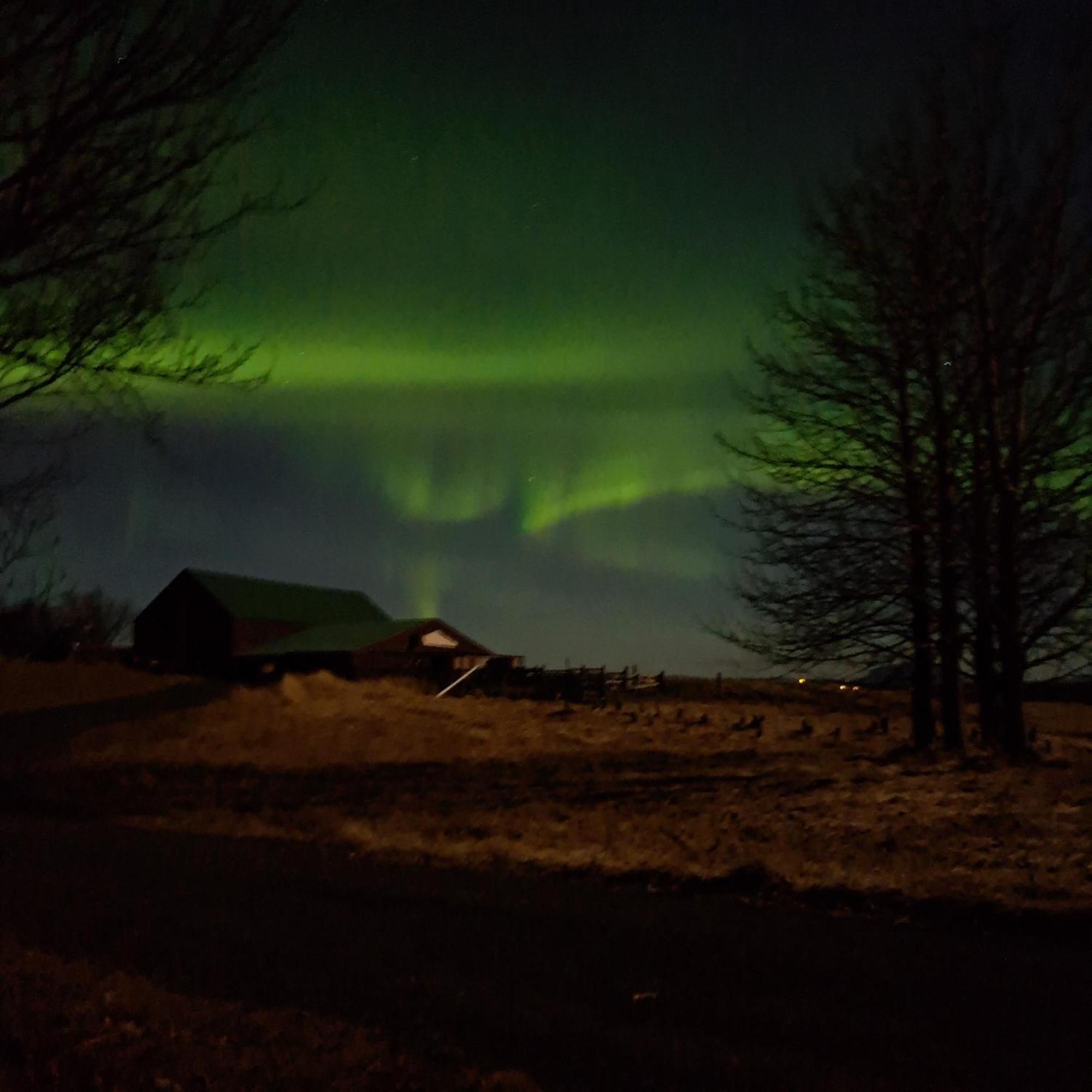 Kaldbakur Guesthouse Heimaland Eksteriør billede