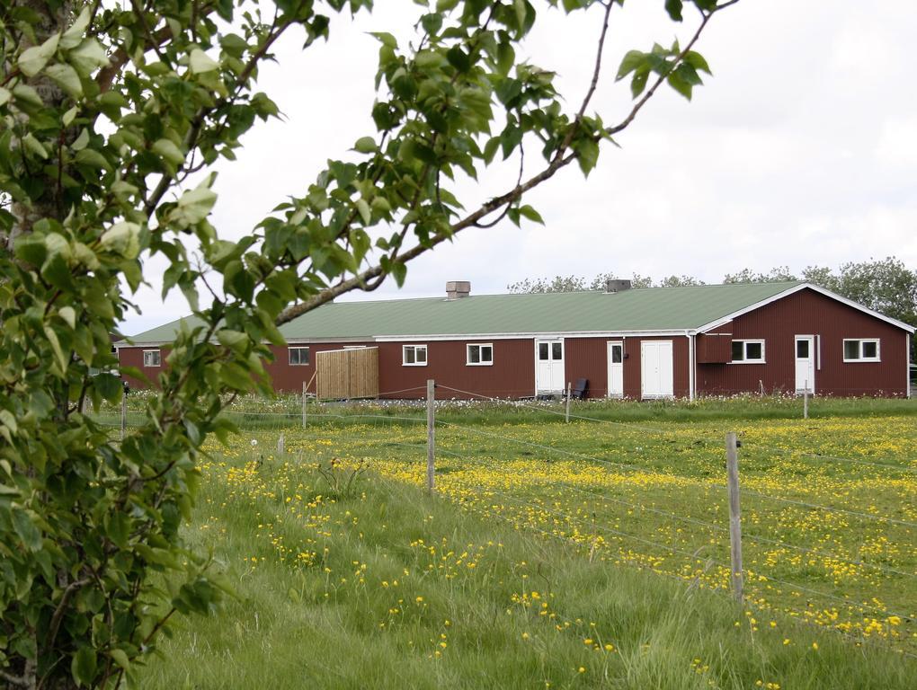 Kaldbakur Guesthouse Heimaland Eksteriør billede